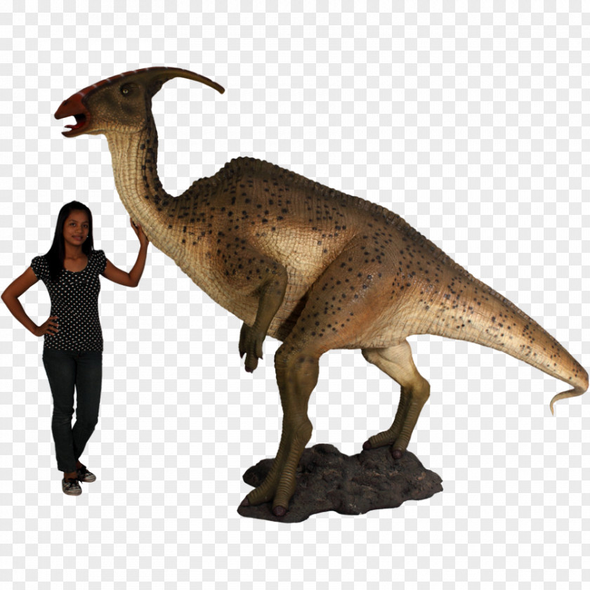 Dinosaur Tyrannosaurus Parasaurolophus Triceratops Allosaurus Velociraptor PNG