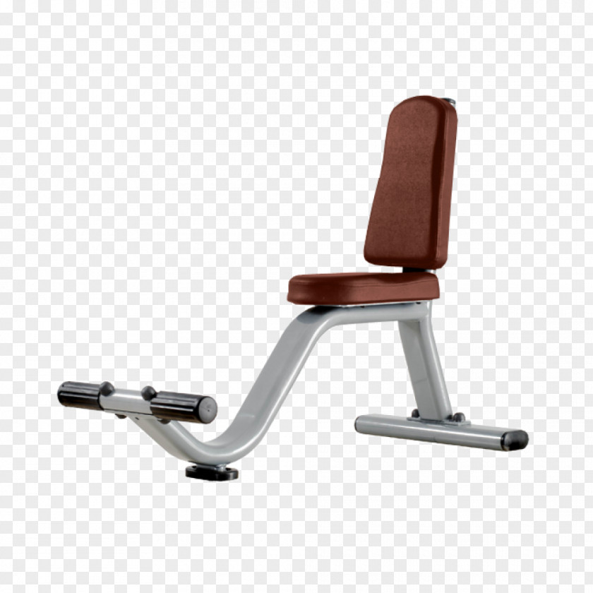 Dumbbell Exercise Equipment Bench Fitness Centre PNG
