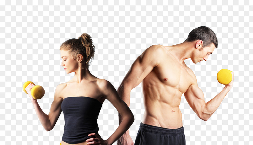 Exercise Physical Fitness Centre Personal Trainer Stretching PNG