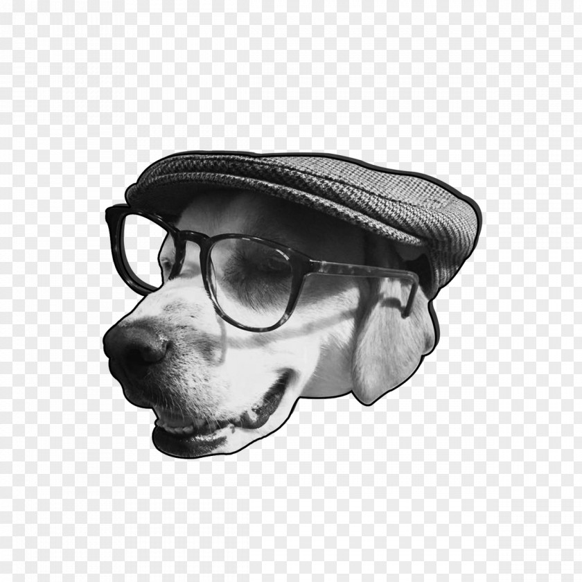 Glasses Dog Snout Goggles PNG