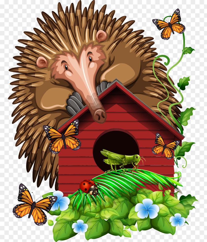 Hedgehog On Red House Insect Butterfly Cartoon Illustration PNG