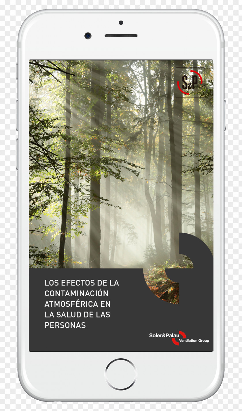 Jeep Forest Poster Sunlight Air Pollution PNG
