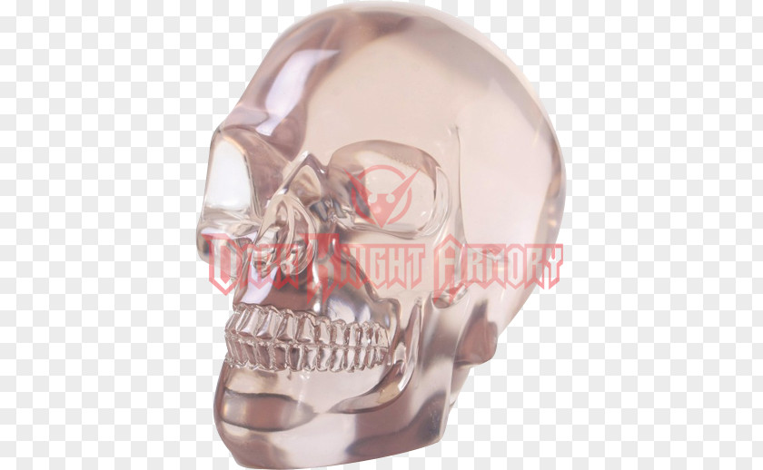 Skull Human Symbolism Skeleton Head PNG