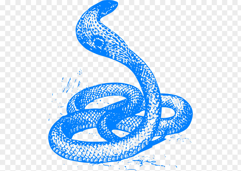Snake Drawing King Cobra Clip Art PNG