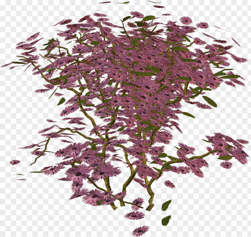 Twig Shrub Herb PNG