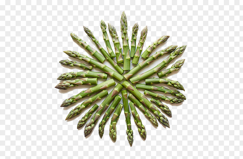 Asparagus Nutrient Vitamin A Plant Stem Folate PNG