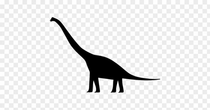 Dinosaur Brachiosaurus Bird Apatosaurus PNG