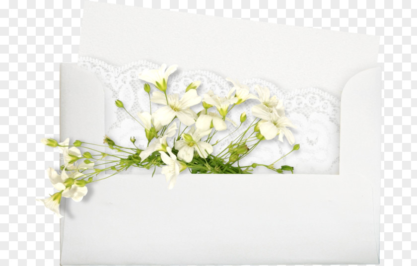 Marriage Picture Frames Romance Family Floral Design PNG