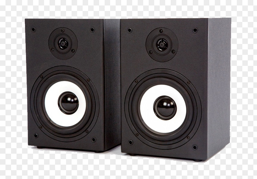 Pro Acoustics Computer Speakers Subwoofer Sound Loudspeaker Enclosure Studio Monitor PNG