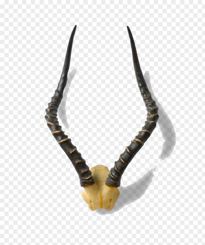 Sign Of The Horns Horn Animal Product Antler Jaw PNG