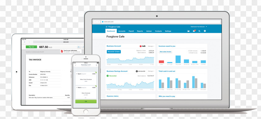 Business Xero Accounting Bookkeeping Accountant PNG
