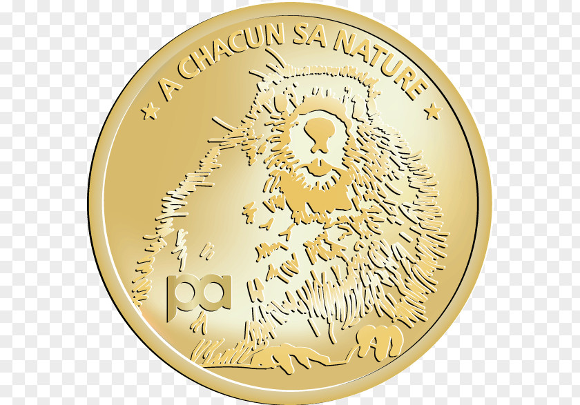 Coin Gold Medal Cash Money PNG