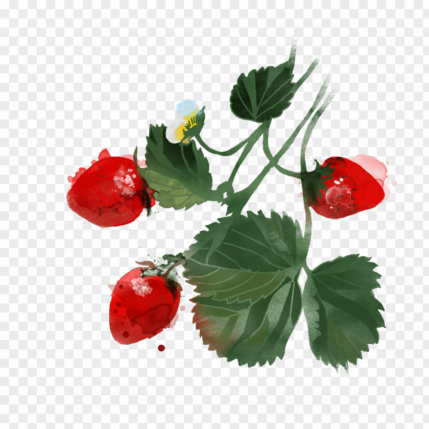 Hand-painted Strawberry Berry Watercolor Painting Drawing Illustration PNG