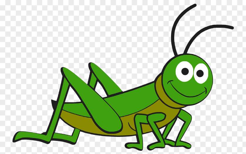 Insect Cartoon Animal Clip Art PNG