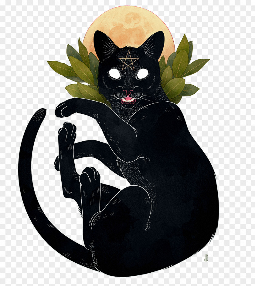 Cat Art Drawing Witchcraft Image PNG