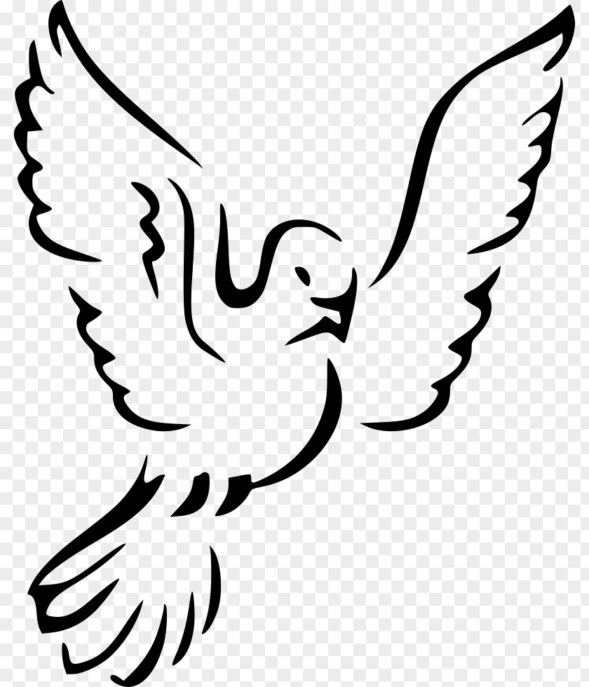 Columbidae Drawing Doves As Symbols Royalty-free Clip Art PNG