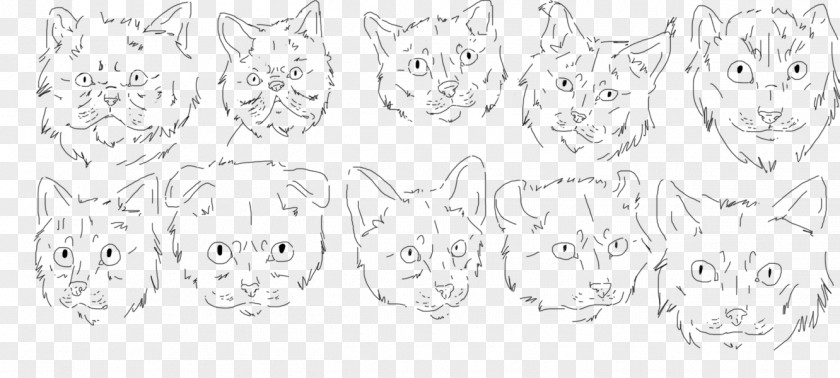 Foreign Cat Carnivora Line Art White Jaw Sketch PNG