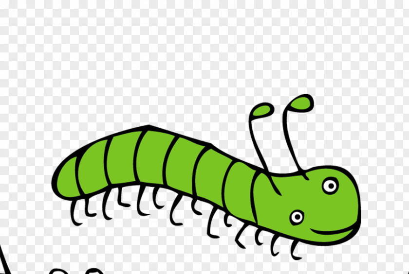 Insect Butterfly Cartoon Caterpillar PNG