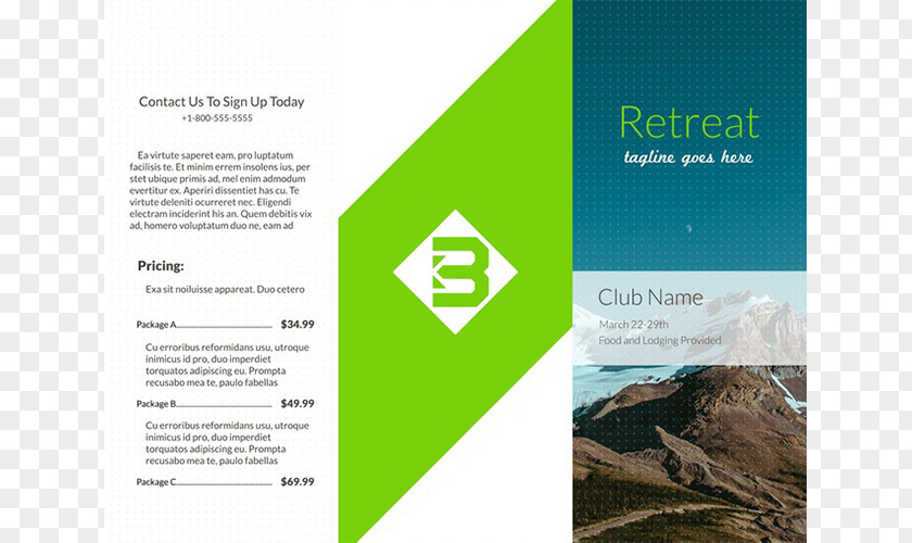 Marketing Brochure Template Information Adobe InDesign PNG