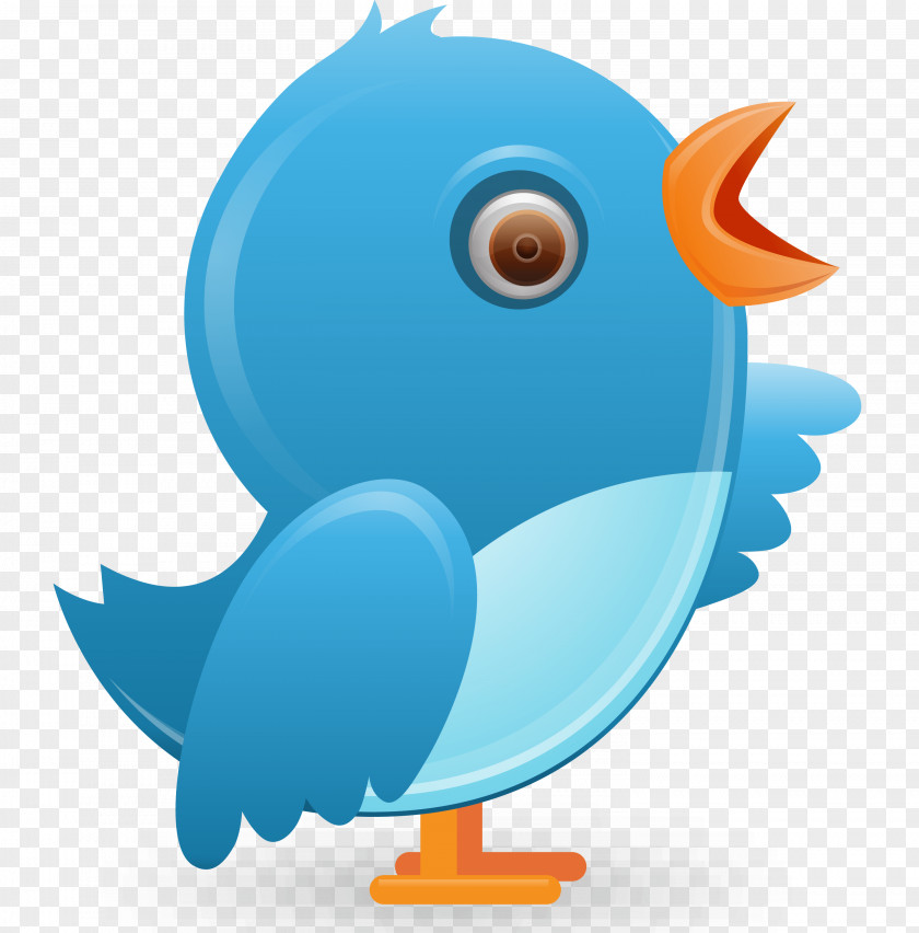 Twitter Social Media Communication To Ruin A Rake Information Blog PNG