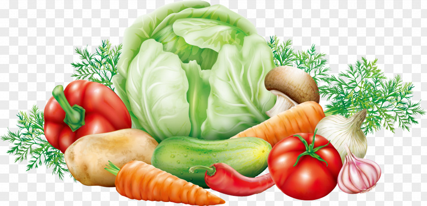 Vector Vegetables Cabbage Vegetable Potato Clip Art PNG