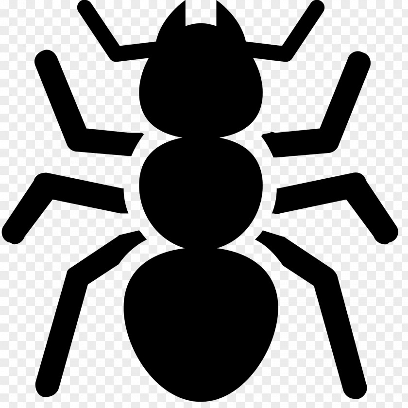 Ladybird Ant Insect Termite Bed Bug PNG
