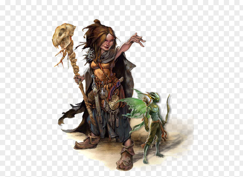 Wizard Dungeons & Dragons Pathfinder Roleplaying Game D20 System Halfling PNG