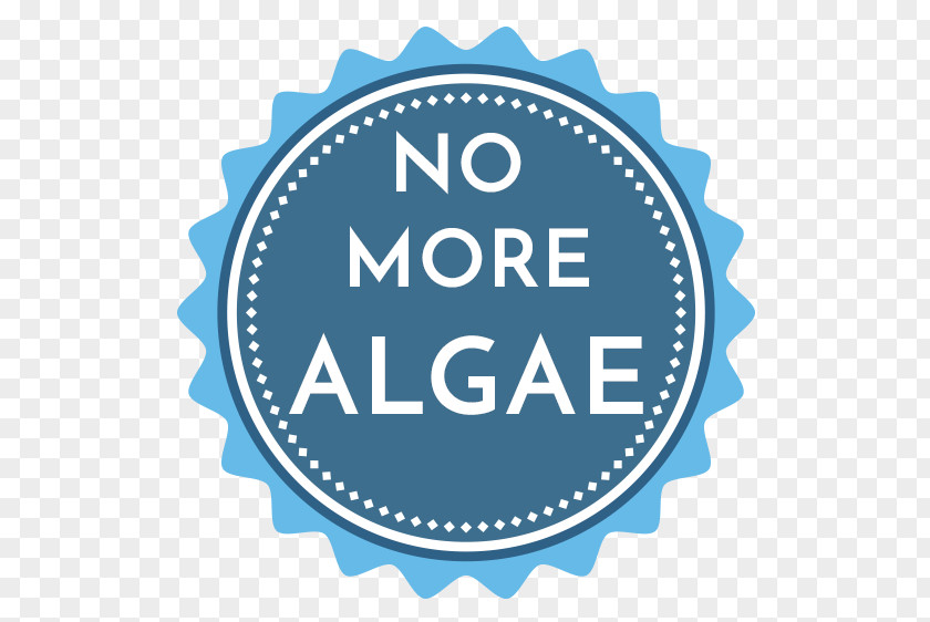 Algae Badge Vector Graphics Drawing Lens Flare Graphic Design Illustration PNG