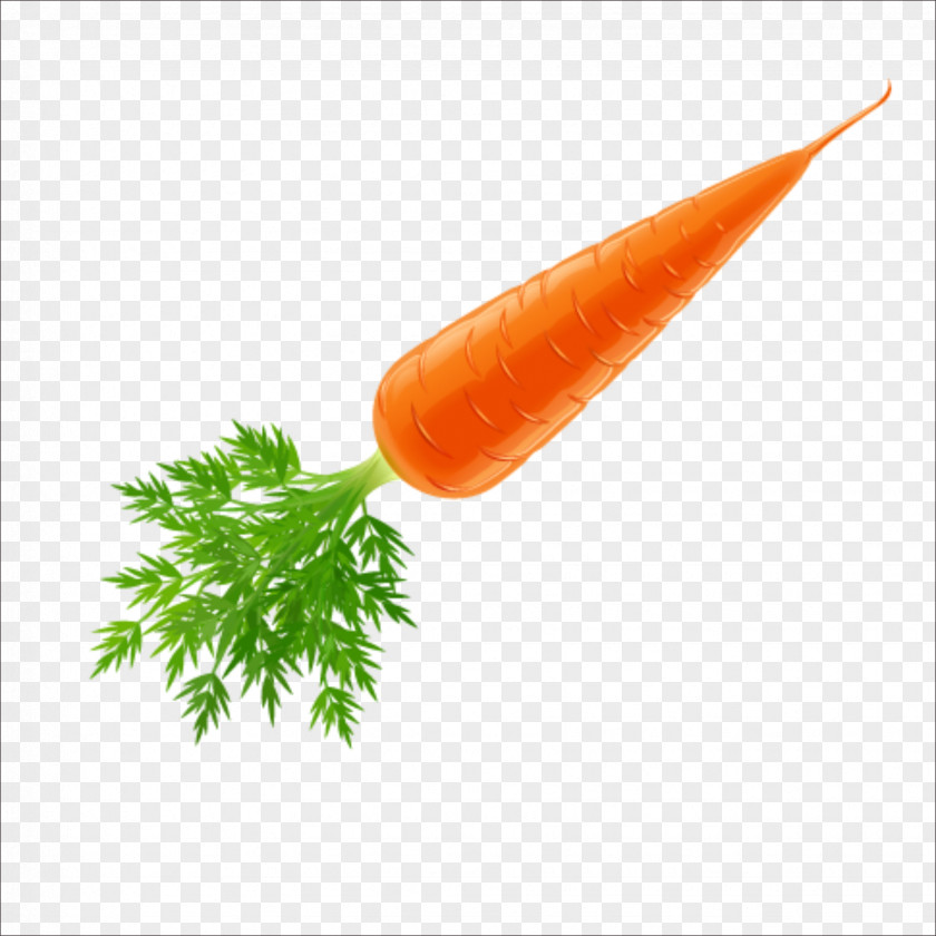 Carrot Juice Vegetable PNG