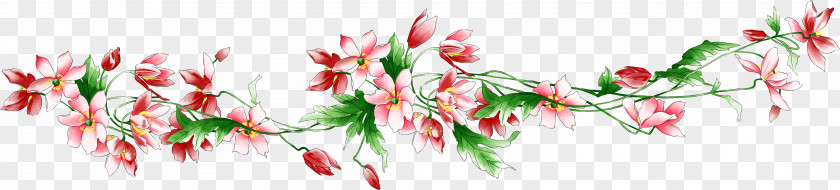 Fuchsia Frame Flower Text Petal Plant Stem Clip Art PNG