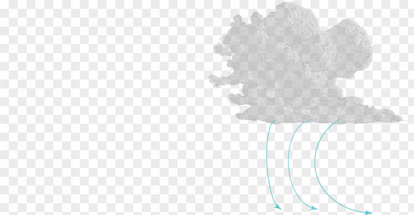 Tree Drawing Flowering Plant /m/02csf Font PNG