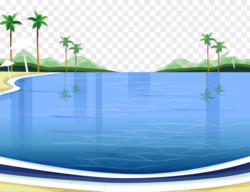 Vector Color Palm Seaside Beach Landscape Sea Illustration PNG
