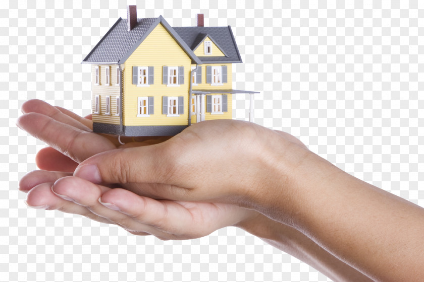Real Estate Property Management Renting Manager Agent PNG