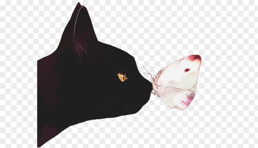 Cat And Butterfly Black Kitten Illustration PNG