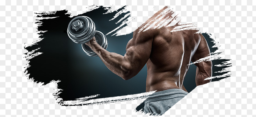 Fitness Class Business Ink Brush PNG