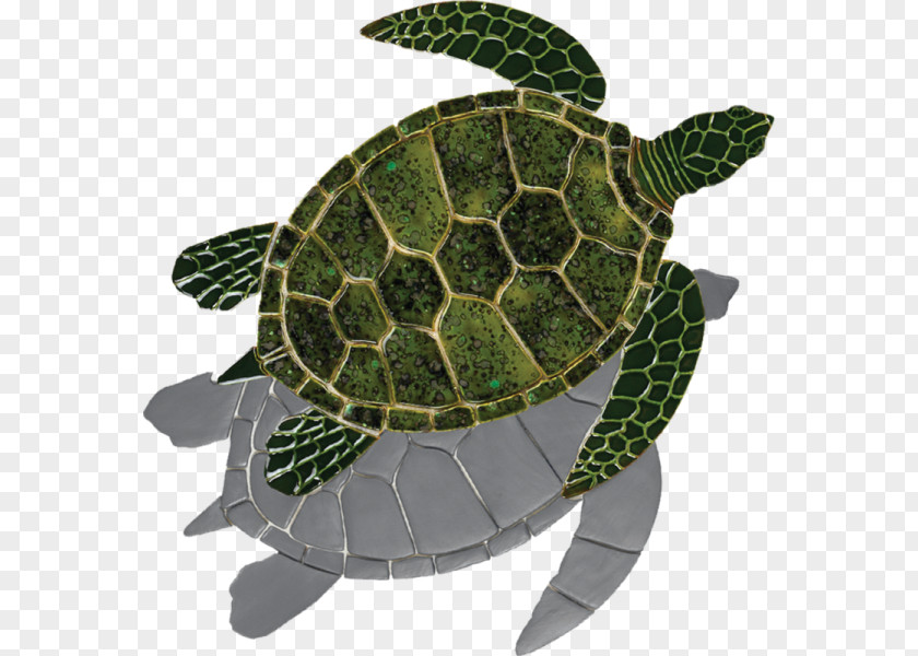 Mosaic Turtle Loggerhead Sea Tortoise Green PNG