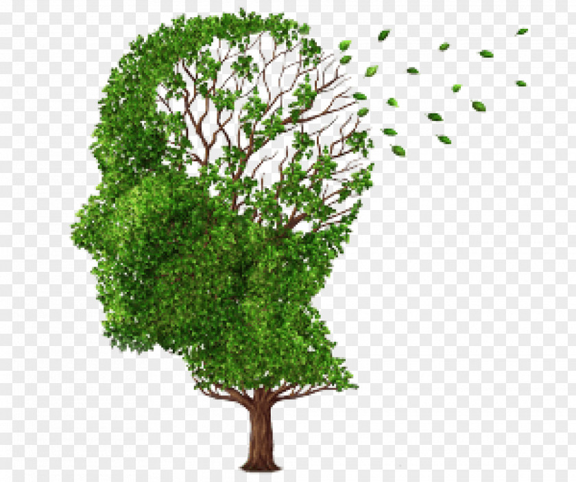 300 Alzheimer's Disease Brain Association Health PNG