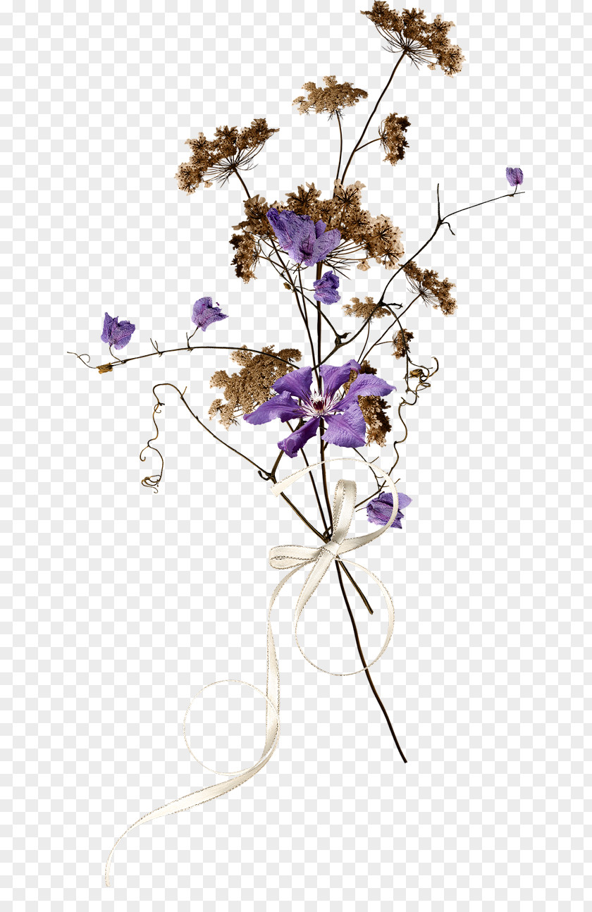 Flower Floral Design Cut Flowers Lavender Lilac PNG