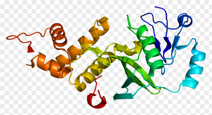 KAT5 Histone Acetyltransferase Endothelin Beta-galactoside Transacetylase PNG