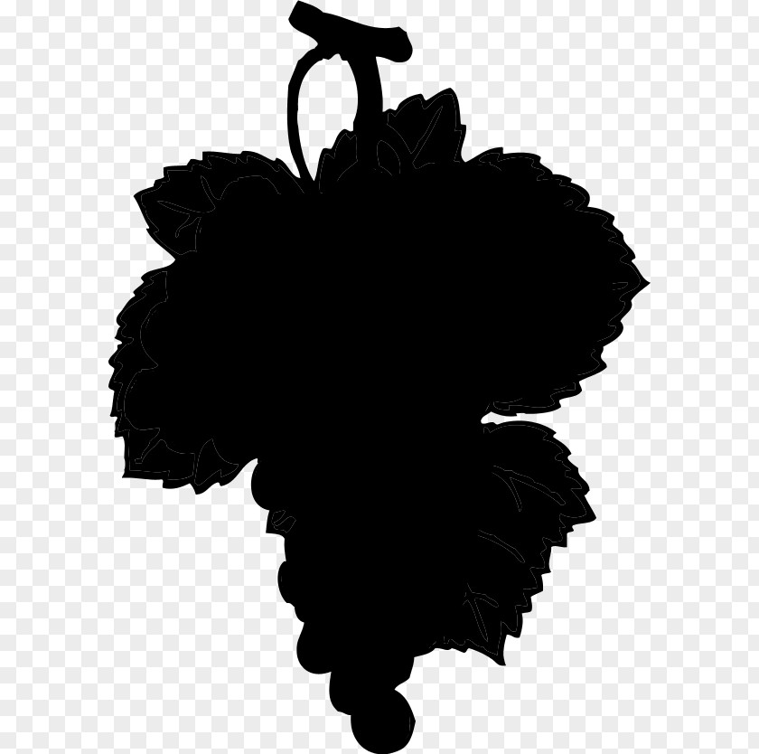 Clip Art Leaf Common Grape Vine Vigne PNG