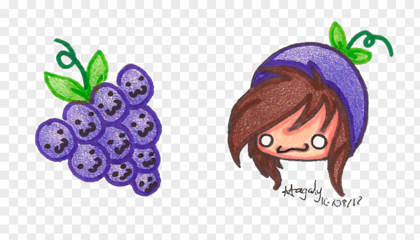 Grape Clip Art Illustration Fruit Flower PNG