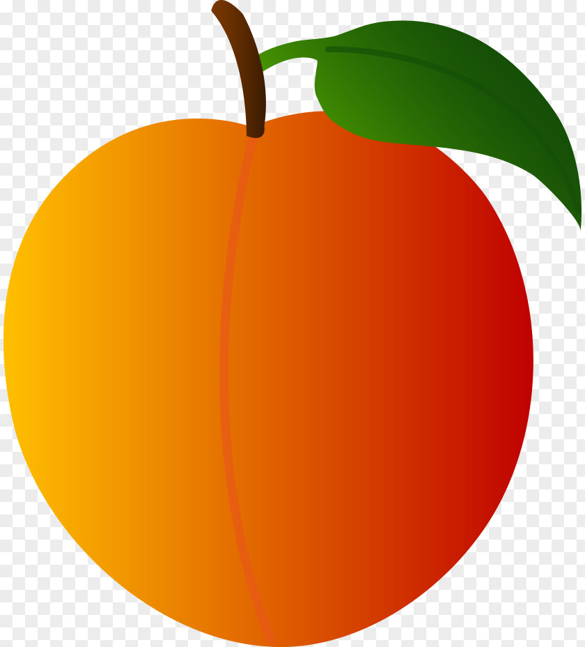 Orange Fruit Peach Clip Art PNG
