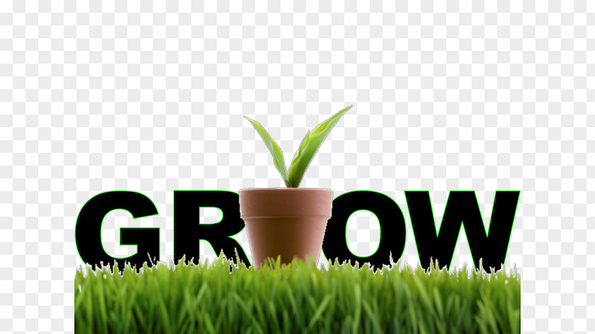 Grow Food Company Sales Electronic Business Small Marketing PNG