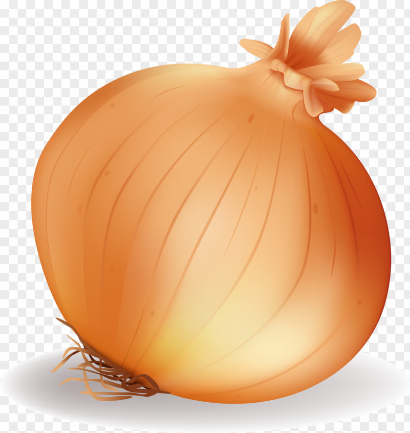 Onion Tomato Vegetable Capsicum Fruit Bell Pepper PNG
