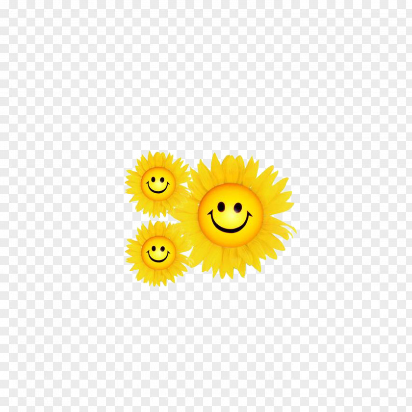 Sunflower Common Smiley Yellow Pattern PNG