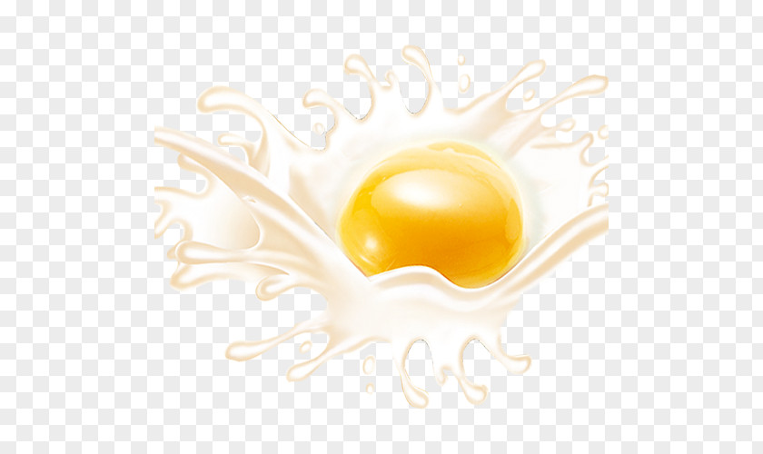 Egg Yellow Wallpaper PNG