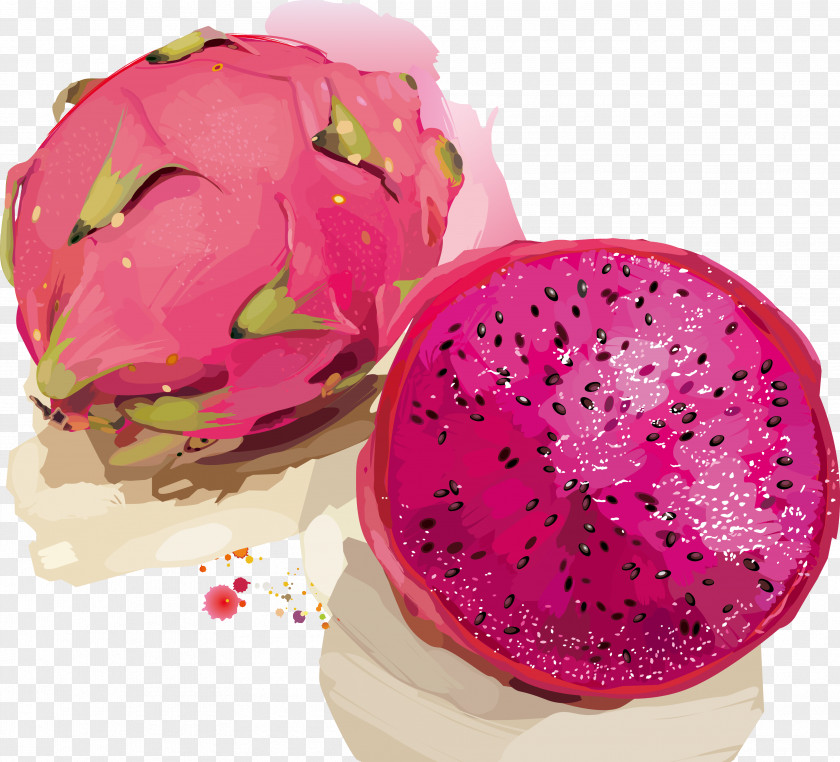 Hand-painted Dragon Fruit Juice Pitaya PNG