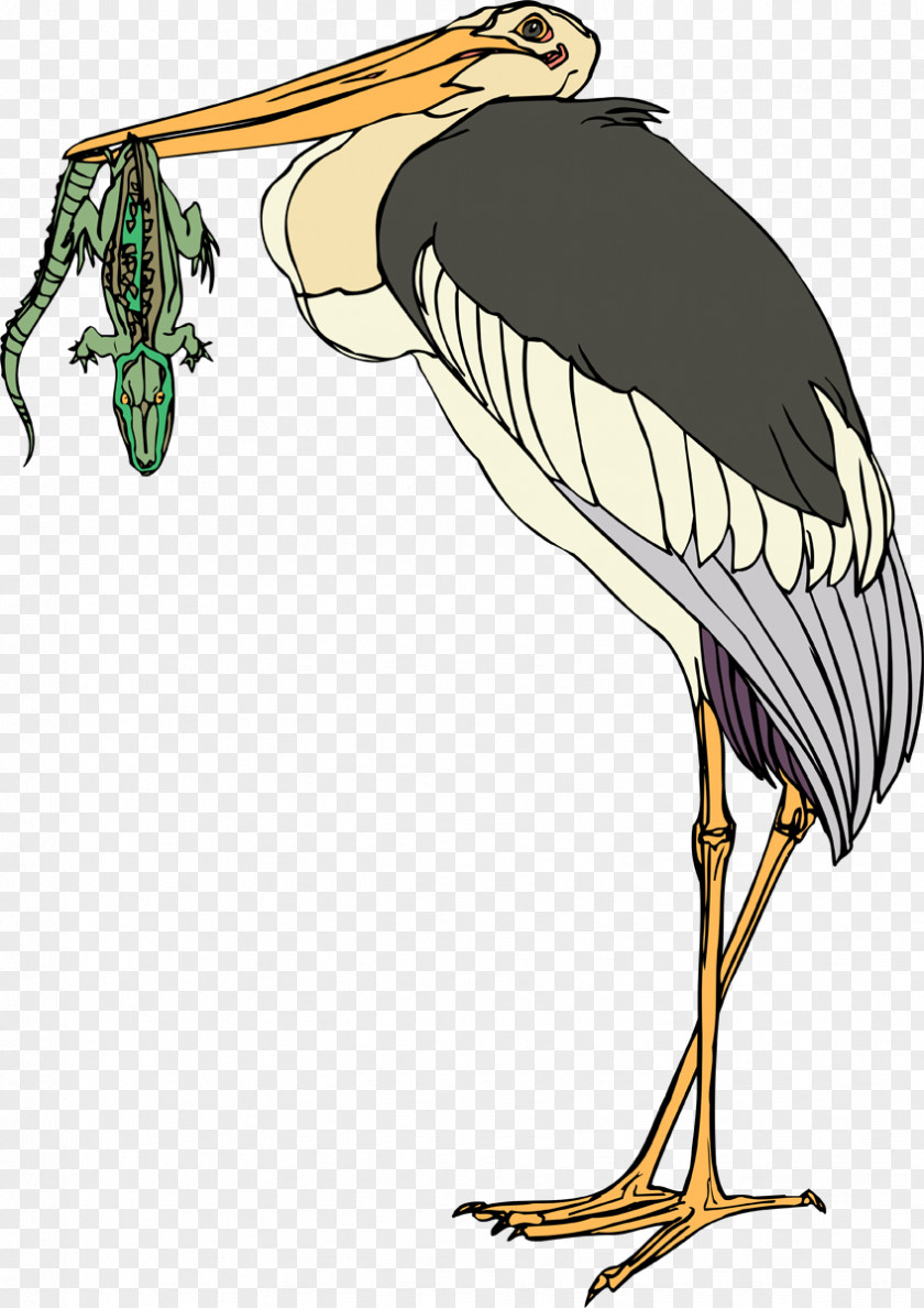 Stork Bird Clip Art Illustration Crane PNG