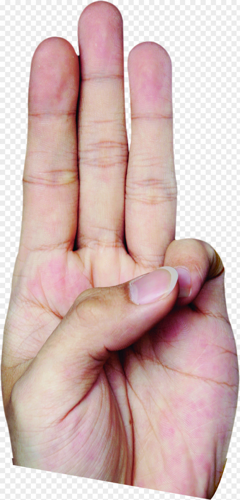 Three Fingers Digit Thumb Finger PNG