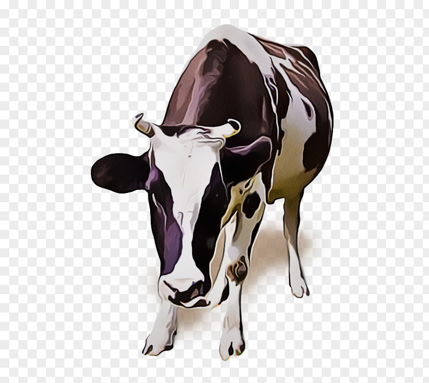 Animal Figure Cowgoat Family Bovine Dairy Cow Livestock Bull Cow-goat PNG